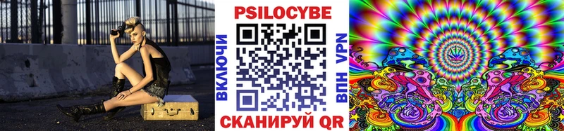 Галлюциногенные грибы Psilocybine cubensis  Адыгейск 